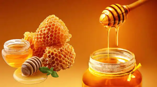 Honey Organic Pure Premium Quality Fresh Stock Sri Pathra Foods